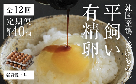 [2026年5月中旬〜発送]平飼い有精卵40個 省資源トレー[全12回定期便]|環境配慮・エコ包装・卵 定期便(西粟倉村)[配送不可地域:沖縄・離島]t-SS-DqDA