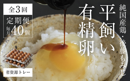 [2026年5月中旬〜発送]平飼い有精卵40個 省資源トレー[全3回定期便]|環境配慮型 定期便[西粟倉村][配送不可地域:沖縄・離島]t-SS-BqDA