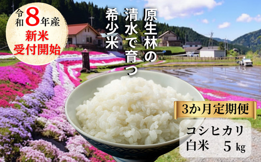 [先行予約 2026年10月発送][3回定期便]白米 5kg 令和8年産 コシヒカリ 岡山 「おおがや 芝桜米」 G-af-BFZA