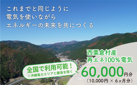 電気料金 （10,000円×6ヶ月分） 百森でんき CO2フリー 地域電力 お礼の電気 脱炭素 ゼロカーボン 岡山県 西粟倉村 【まずは寄付のお申し込みを！】e-vv-A06D