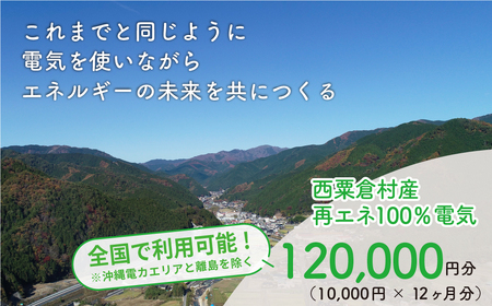 電気料金 （10,000円×12ヶ月分） 百森でんき CO2フリー 地域電力 お礼の電気 脱炭素 ゼロカーボン 岡山県 西粟倉村 【まずは寄付のお申し込みを！】e-vv-A07D