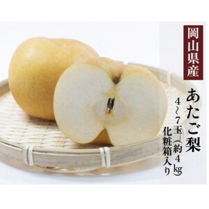 RY  4`7(4kg) ϔyzsnFEkCEꌧzy1501095z