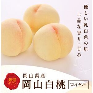 [2026年発送]岡山県産 白桃 6玉 (1.5kg以上) 等級:ロイヤル 化粧箱入り[配送不可地域:離島・北海道・沖縄県]