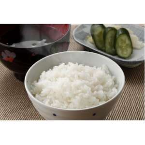 yHӒmIzRY ʂނ10kg(5kg×2)y1643918z