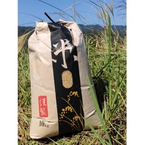 ���R���Y ���R�L���ȒI�c�ăR�V�q�J��(����) 10kg�y1683370�z