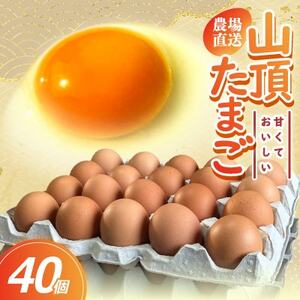 [毎月定期便]養鶏場から直送!甘くておいしい「山頂たまご」赤たまご 40個 全3回