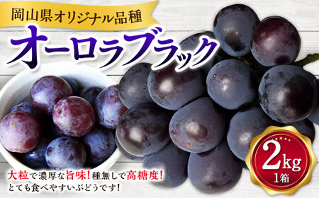 オーロラブラック 2kg ぶどう 葡萄 フルーツ 果物 岡山県 岡山県産 2025年 先行予約 [2025年8月上旬-9月下旬発送予定]