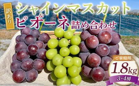 訳あり シャインマスカットとピオーネ 詰合せ 3〜4房 計約1.8kg ご家庭用 [2025年10月上旬〜12月上旬発送予定] / マスカット ピオーネ 葡萄 ブドウ 種無し 種なし