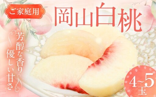 【ご家庭用】 岡山白桃 4~5玉 計約1.2kg 【2026年6月下旬～7月下旬発送予定】 ／ 白桃 桃 もも モモ