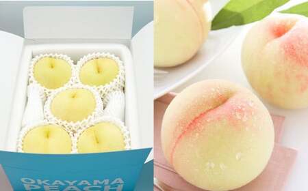 [ご家庭用] 岡山白桃 晩生 4〜5玉 計約1.2kg [2025年8月下旬発送予定] / 白桃 桃 もも モモ