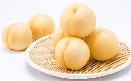 [先行予約] しっかりした果肉と果汁たっぷりの岡山の白桃 ・ 恵白 1.5kg箱(約4個〜6個) [2025年9月上旬〜2025年9月下旬発送予定] / 桃 もも モモ はくとう めぐみはく 千曲白鳳 ちくまはくおう 川中島白桃 かわなかじまはくとう 交配種 果物 くだもの フルーツ デザート 冷蔵