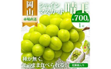 岡山県産 シャインマスカット『晴王』1房 (700g以上) 化粧箱入り [2025年8月下旬〜10月上旬発送予定] / マスカット 葡萄 ぶどう 果物 果実 フルーツ 岡山県 美咲町 冷蔵