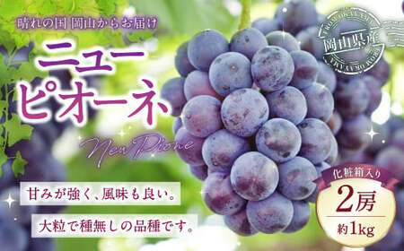 岡山県産 ニューピオーネ 2房 (1房480g以上) 約1kg 化粧箱入り [2025年8月下旬〜10月上旬発送予定] / 葡萄 ぶどう 果物 果実 フルーツ 種なし 岡山県 美咲町 冷蔵