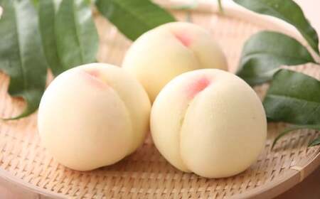 岡山県産 白桃 約2kg (6〜8玉) [2025年7月上旬〜8月上旬発送予定] / 桃 もも 果物 果実 フルーツ スイーツ デザート 岡山県 美咲町 冷蔵