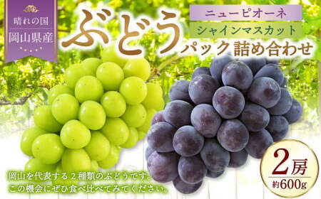 岡山県産 ぶどうパック詰合せ ※2種2パックセット ( ニューピオーネ ・ シャインマスカット ) [2025年9月上旬〜10月下旬発送予定] / ぶどう ブドウ 葡萄 種なし 種無し ピオーネ マスカット 晴王 はるお フルーツ 果物 くだもの 果実