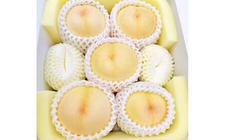 岡山県美咲町産 桃 【おかやま夢白桃】 5～7玉入り 約2kg 【2025年7月下旬～8月下旬発送予定】 ／ 白桃 もも 果物 果実 フルーツ 国産 岡山県 美咲町 冷蔵