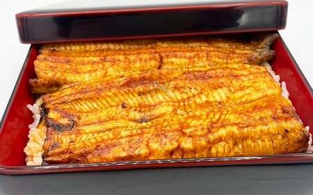 「鰻伶」国産うなぎ 蒲焼 約200g / 鰻蒲焼き ギフト ウナギ うなぎ蒲焼き