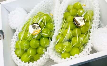 [先行予約] 岡山県産 シャインマスカット 2kg 1箱 / フルーツ 果物 くだもの 食品 人気 おすすめ [2025年9月下旬-10月下旬発送予定]