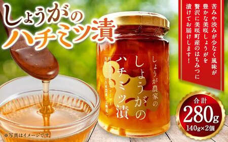 しょうがのはちみつ漬け 2個セット 140g×2 計280g / 生姜 しょうが ジンジャー 野菜 蜂蜜 はちみつ ハニー