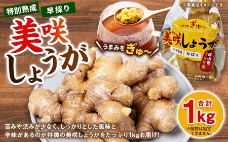 美咲しょうが 1kg / 生姜 しょうが ジンジャー