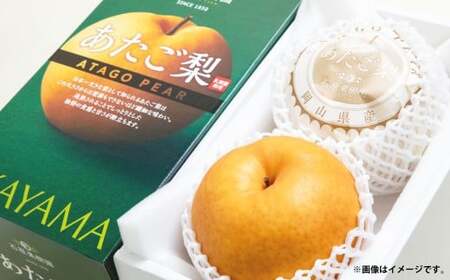  850g×2 v1.7kg ϔ ^   Ȃ iV ʕ  y2025N11{`12{\z