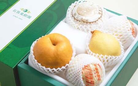  2`3 E  i[[j 3`4 l v3kg  ^   Ȃ iV ʕ  y2025N11{`12{\z