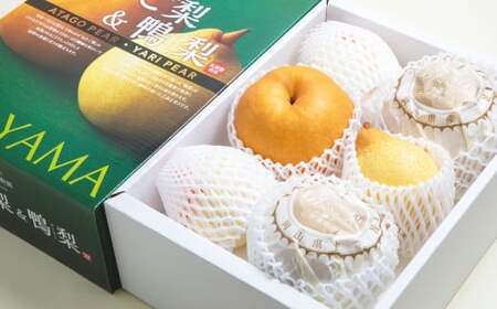  2`3 E  i[[j 3`6 l v4kg  ^   Ȃ iV ʕ  y2025N11{`12{\z