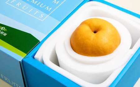 備前横綱梨 (あたご梨) 超大玉 1玉 約1kg〜1.4kg 贈答箱 / 愛宕梨 梨 なし ナシ 果物 [2025年11月下旬〜12月下旬発送予定]