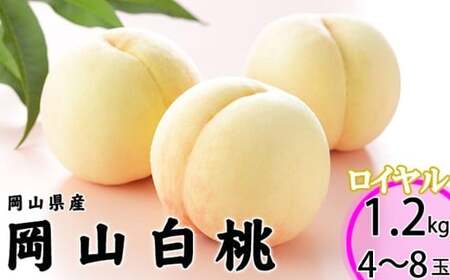 R C 4`8 1.2kg RY iEj y2026N7{`8{\z ^    ʕ ʎ t[c R 璬 ①