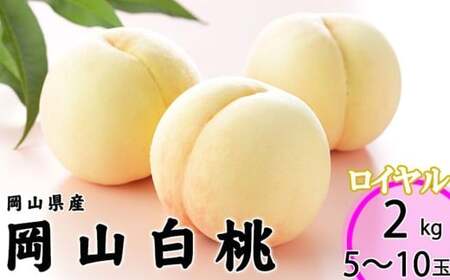 R C 5`10 2kg RY iEj y2026N7{`8{\z ^    ʕ ʎ t[c R 璬 ①