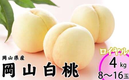 R C 8`16 4kg RY iEj y2026N7{`8{\z ^    ʕ ʎ t[c R 璬 ①