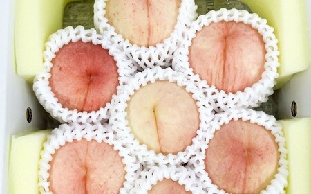 岡山の白桃 約2kg [2026年7月下旬-8月上旬発送予定] / 白桃 桃 もも 大久保白桃 あかつき なつおとめ 果物 果実 フルーツ 国産 岡山県 美咲町 冷蔵