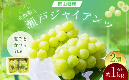 ˃WCAc 2[ i1[480gȏj v1kg ϔ y2026N9{`10{܂Ŕ\z ^ }XJbg  Ԃǂ ʕ ʎ t[c 炲 R 璬 ①