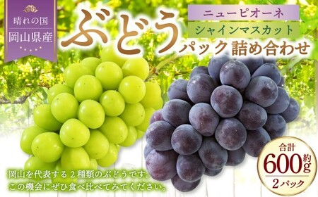 岡山県産 ぶどうパック詰合せ ※2種2パックセット ( ニューピオーネ ・ シャインマスカット )[2026年9月上旬〜10月下旬発送予定] / ぶどう ブドウ 葡萄 種なし 種無し ピオーネ マスカット 晴王 はるお フルーツ 果物 くだもの 果実