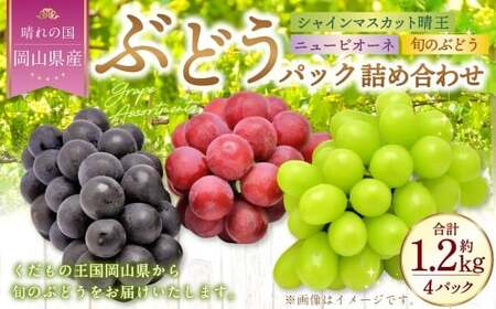 岡山県産 ぶどうパック詰合せ ※3種4パックセット ( ニューピオーネ ・ シャインマスカット ・ 旬のぶどう ) [2026年9月上旬〜10月下旬発送予定] / ブドウ 葡萄 種なし 種無し ピオーネ マスカット 晴王 はるお 旬の葡萄 フルーツ 果物 くだもの 果実