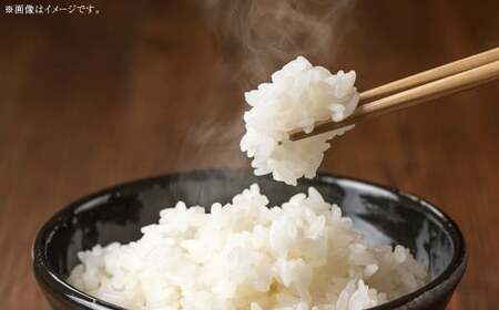 岡山県 美咲町産 きぬむすめ 5kg 令和7年産米先行予約 / 白米 お米 米 [2025年11月上旬-2026年10月下旬発送予定]