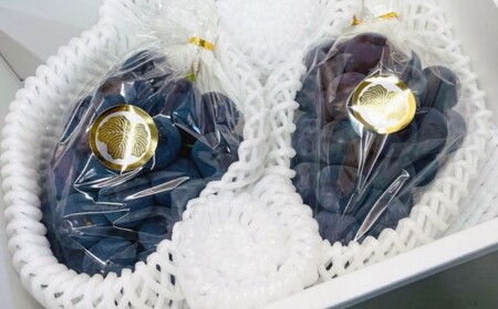 [先行予約] 岡山県産 ニューピオーネ 2kg 1箱 / ぶどう ブドウ フルーツ [2026年8月下旬-9月下旬発送予定]