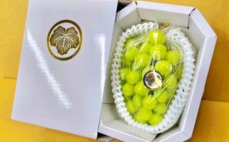 ys\z I VC}XJbg 800g 1[ ^ }XJbg Ԃǂ uhE t[c y2026N9{-10{\z