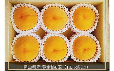 黄金桃 6玉 (1.6kg以上) 化粧箱入り [2026年8月下旬〜9月上旬迄発送予定] / 黄桃 桃 もも 果物 果実 フルーツ 岡山県 美咲町 冷蔵