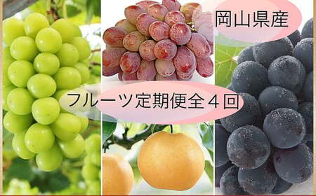 [果物定期便4回] (ニューピオーネ ・ 晴王 ・ 紫苑 ・ あたご梨) [2026年9月上旬より発送開始] / 4回 葡萄 ぶどう マスカット シャインマスカット 梨 なし 果物 果実 フルーツ 旬 定期便 岡山県 美咲町 冷蔵 常温