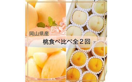 [桃定期便2回] (白桃 ・ 黄金桃) [2026年7月上旬より発送開始] / 桃 もも 果物 果実 フルーツ 旬 食べ比べ 定期便 岡山県 美咲町 冷蔵