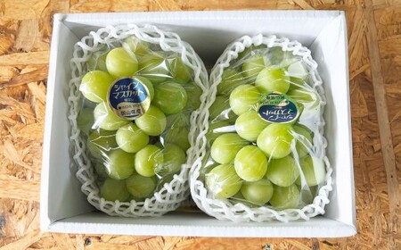 Ԃǂ 2026N s\ VC }XJbg 2[ v1.4kgȏ y2026N9{`9{\z ^ uhE  VC}XJbg Ȃ 炲 RY Y t[c ʕ Mtg 