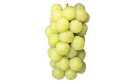 Ԃǂ 2026N s\ ˃WCAc 3[ v2kgȏ y2026N9{`9{\z ^ YԂǂ uhE  炲 RY Y t[c ʕ Mtg ͖{_ R 