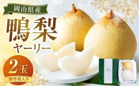 i[[j2   iV Ȃ y2025N11{`12{\z