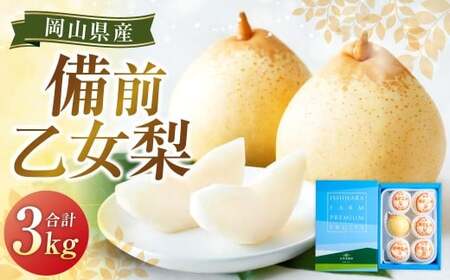 O 5`6 v3kg  iV Ȃ  [[ y2025N11{`12{\z