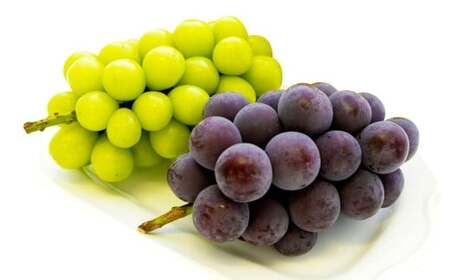 y ƒ pz VC  sI[l 1.2L y 2026N9{10{\ z ^ ʕ  t[c Ԃǂ uhE  VC}XJbg Hה Zbg 嗱 Ö