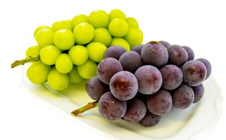 y ƒp z VC  I[ 1.2L y 2026N9{10{\ z ^ ʕ  t[c Ԃǂ uhE  VC}XJbg Hה Zbg 嗱 Ö