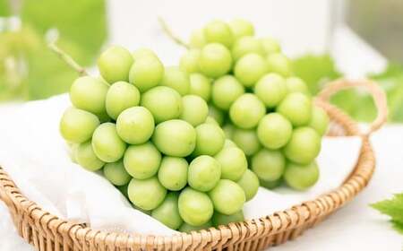 �V���C���}�X�J�b�g 2�[ �i1kg�ȏ�j �y2026�N8�����{����10����{�������\��z �^ �������� �ʕ� �ʎ� �t���[�c �Ԃǂ� �u�h�E ���� �}�X�J�b�g �① ���R�� ���璬