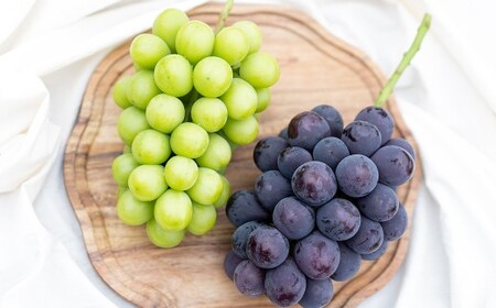 [2回定期便] 家庭用 ピオーネ or オーロラブラック 2房 (900g以上) & 家庭用シャインマスカット 2〜3房 (1kg以上) [2026年7月下旬から順次発送予定] / くだもの 果物 果実 フルーツ ぶどう ブドウ 葡萄 マスカット 冷蔵 岡山県 美咲町