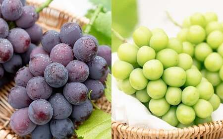 �y2�����ցz �����p �s�I�[�l or �I�[�����u���b�N 2�[ �i1kg�ȏ�j �� �V���C���}�X�J�b�g 2�[ �i���v1kg�ȏ�j �y2026�N7�����{���珇�������\��z �^ �������� �ʕ� �ʎ� �t���[�c �Ԃǂ�